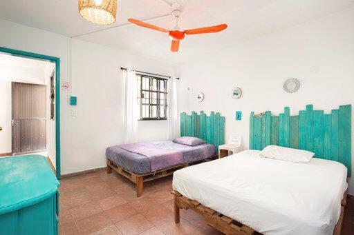 Casa Cálido Hotel Cozumel Quarto foto